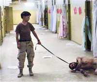 Iraq prison scene